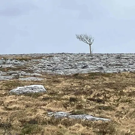 Sleeps Up To 4 Guests In Kinvara Cappaghmore