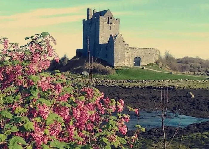 Sleeps Up To 4 Guests In Kinvara Apartament *