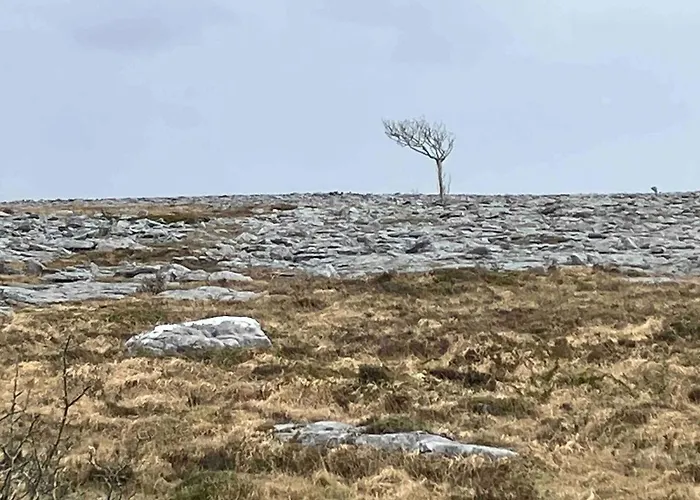 Sleeps Up To 4 Guests In Kinvara Cappaghmore